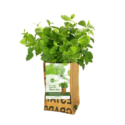 Grow bag flowers or herbs - Image 13